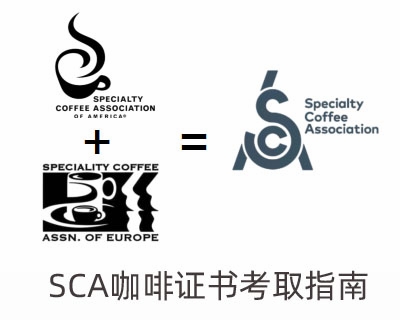 SCA咖啡证书考取指南